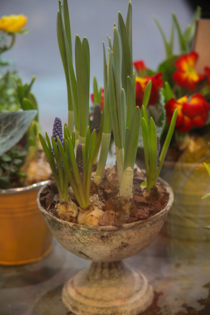 Un parfum de souvenir et de tendresse photo 28